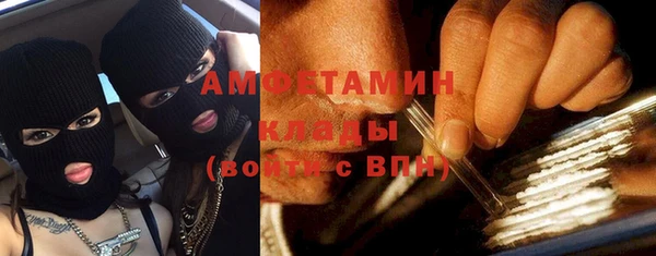 сатива Новодвинск