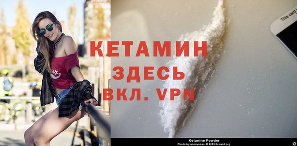 сатива Новодвинск