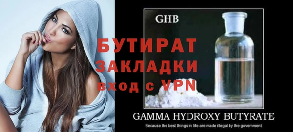 сатива Новодвинск