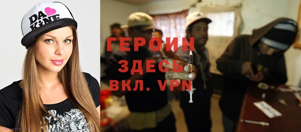 сатива Новодвинск