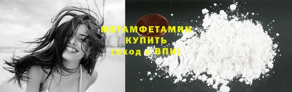 сатива Новодвинск