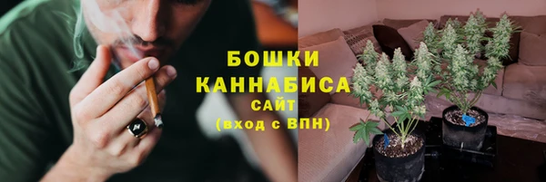 сатива Новодвинск