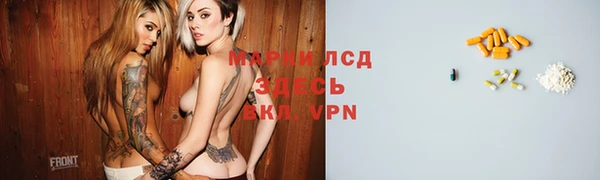 сатива Новодвинск