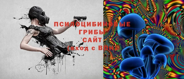скорость Нягань