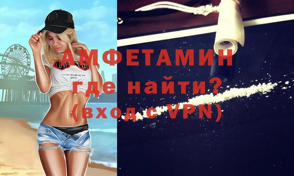 сатива Новодвинск