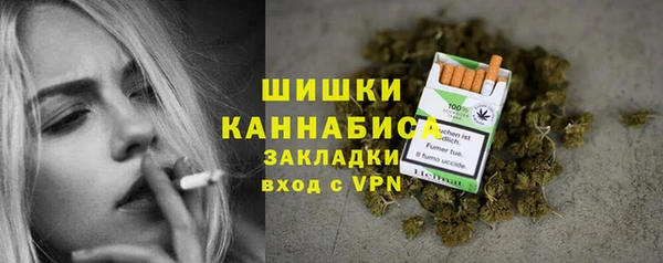 сатива Новодвинск
