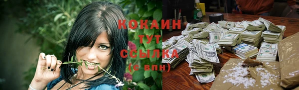 сатива Новодвинск
